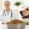 Understanding the Link Between Grain-Free Dog Food and Canine Dilated Cardiomyopathy
