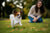 Understanding the Lively Papillon Temperament