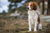 Understanding the Nederlandse Kooikerhondje Temperament