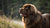 Understanding the Newfoundland Temperament: A Comprehensive Guide for Dog Lovers