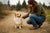 Understanding the Pembroke Welsh Corgi Temperament