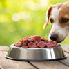 Understanding the Raw Dog Food Diet: Is It Right for Your Canine Companion?