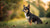 Understanding the Smallest Dog Breed by Weight: A Guide to Tiny Companions