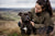 Understanding the Staffordshire Bull Terrier Temperament