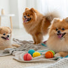 Understanding the Symptoms of Garlic Poisoning in Dogs