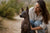 Understanding the Xoloitzcuintli Temperament