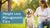 Understanding Weight Loss in Diabetic Dogs: Causes, Management, and Care