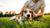 Understanding Weight Loss in Dogs with Cancer: What Pet Owners Need to Know