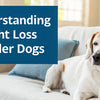 Understanding Weight Loss in Older Dogs: Causes and Solutions