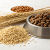 Understanding What Are Considered Grains in Dog Food