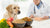 Understanding What Are the Most Common Food Allergies for Dogs