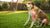 Understanding What Are the Signs of Food Allergies in Dogs