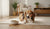 Understanding What Are the Symptoms of a Food Allergy in Dogs-141235290351