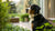 Understanding What Can Cause a Sudden Change in Dog's Behavior