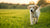 Understanding What Can Make a Dog Lose Weight: A Comprehensive Guide for Pet Owners
