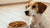 Understanding What Causes a Dog Not to Eat Their Food: A Comprehensive Guide for Pet Owners
