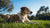 Understanding What Causes a Dog to Lose Weight