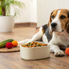 Understanding What Causes Dogs to Gain Weight: A Comprehensive Guide for Pet Owners
