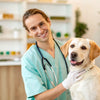 Understanding What Causes Rapid Weight Loss in Dogs: A Comprehensive Guide
