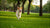 Understanding What Counts as Exercise for a Dog: A Comprehensive Guide