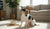 Understanding What Does a Food Allergy Look Like in Dogs: A Comprehensive Guide-141418529007