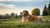 Understanding What Does Weight at Maturity Mean on Dog Food