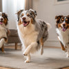 Understanding What Dog Dental Chews Are Made Of: A Comprehensive Guide