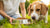 Understanding What Dog Food Ingredients Cause Allergies: A Comprehensive Guide for Pet Owners-141218971887