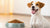 Understanding What Dog Food is Good for Gaining Weight