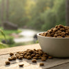 Understanding What Dog Foods Are Not Grain Free: A Comprehensive Guide for Pet Owners