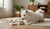 Understanding What Food Can Cause Allergy to Dogs: A Complete Guide for Pet Owners-141233881327