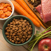 Understanding What Food Helps Dogs with Allergies: The Ultimate Guide
