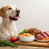 Understanding What Food Stops Dogs from Eating Poop