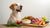 Understanding What Food Stops Dogs from Eating Poop