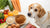 Understanding What Foods Are Toxic for Dogs to Eat