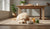 Understanding What Foods Cause Dog Allergies-141418496239