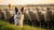 Understanding What Herding Behavior in Dogs Means for Pet Owners-141216710895