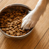 Understanding What Is a Kibble Diet for Dogs: A Comprehensive Guide