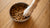 Understanding What Is a Kibble Diet for Dogs: A Comprehensive Guide
