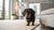Understanding What Is Canned Dog Food and How It Enhances Your Dog’s Life