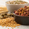 Understanding What is Considered a Grain in Dog Food