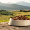 Understanding What is Considered Grain Free Dog Food: A Comprehensive Guide