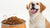 Understanding What is High Protein in Dog Food: A Comprehensive Guide for Pet Owners-141042843887