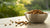 Understanding What is the Purpose of Grain Free Dog Food