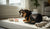 Understanding What It Means When Your Dog's Behavior Changes-141235323119