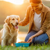 Understanding What Makes a Dog Gain Weight: A Comprehensive Guide for Pet Owners