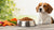 Understanding What Makes Dog Food Grain Free: A Comprehensive Guide