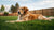 Understanding What Makes Dogs Gain Weight Fast: Causes, Prevention, and Solutions