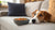 Understanding What to Do When Your Dog Stops Eating Their Food-140219023599