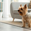 Understanding What Vegetables Dogs Cannot Eat: A Comprehensive Guide for Pet Owners